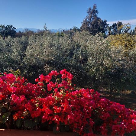 Bed and Breakfast Manzal Lahbab Marrakesz Zewnętrze zdjęcie