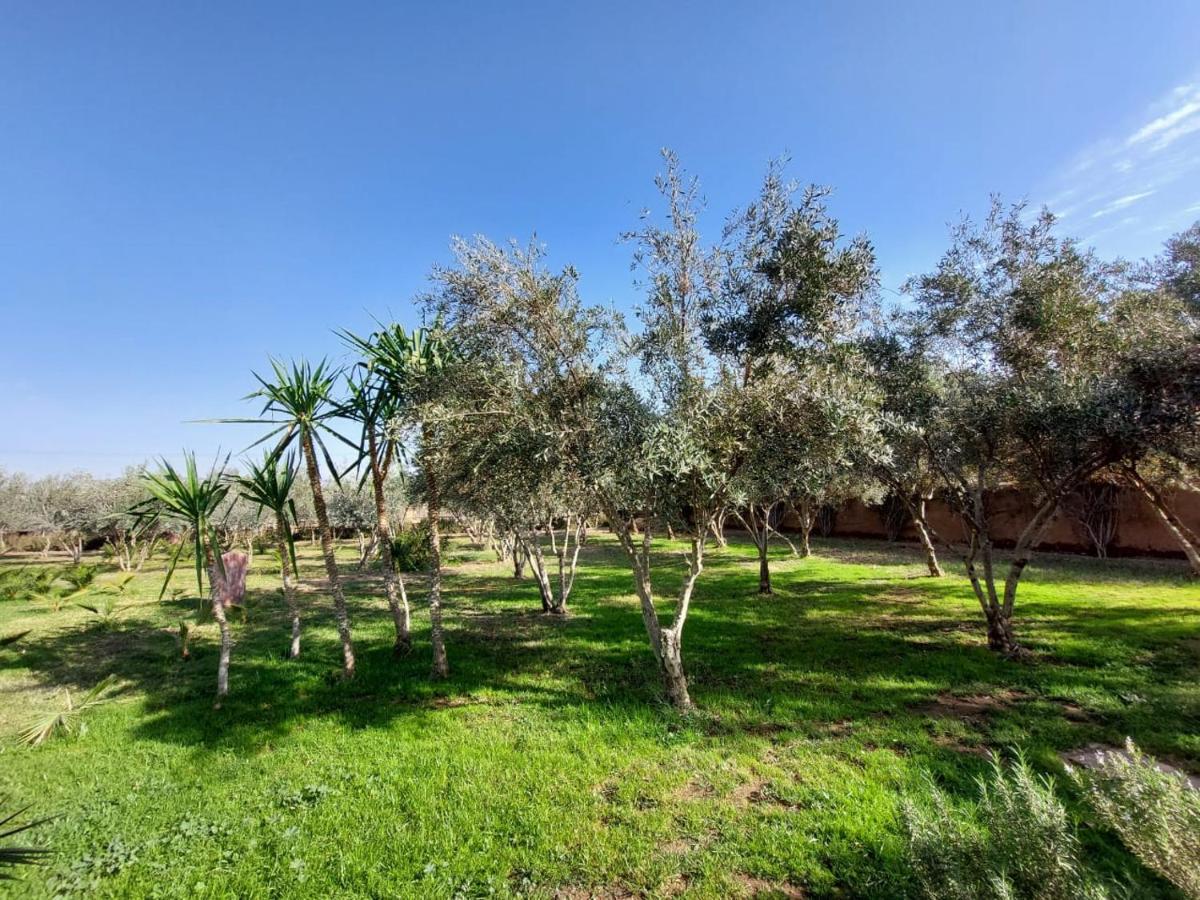 Bed and Breakfast Manzal Lahbab Marrakesz Zewnętrze zdjęcie