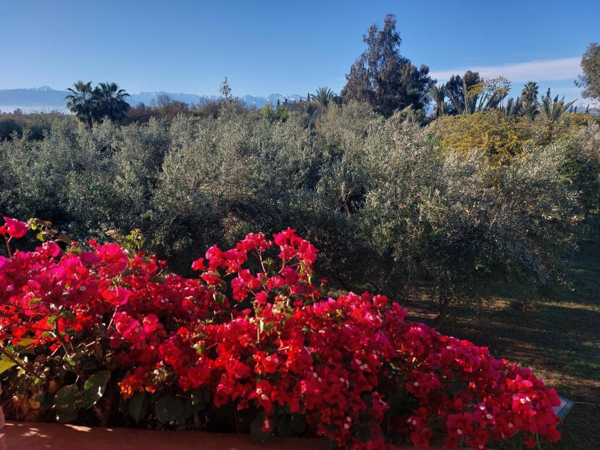 Bed and Breakfast Manzal Lahbab Marrakesz Zewnętrze zdjęcie